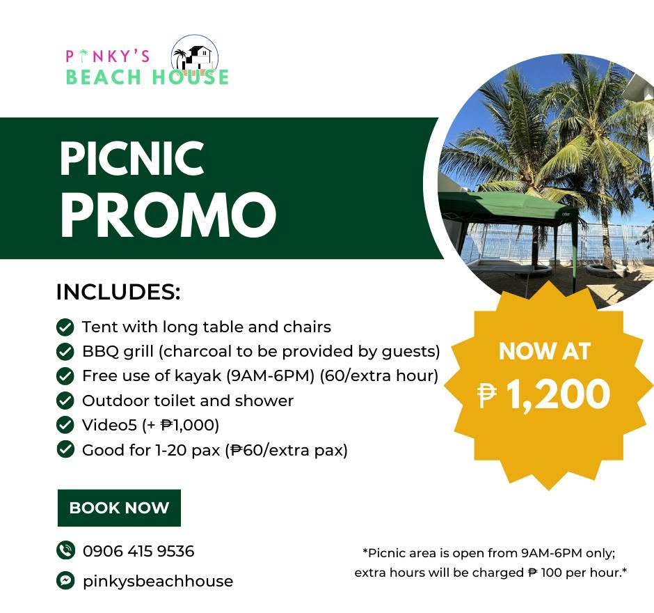 picnic promo